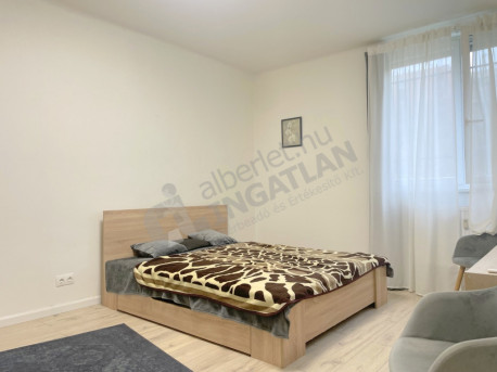 Templom utca Templom utca