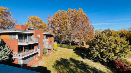 Almási Balogh Lóránd utca