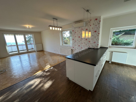 Szalamandra köz Szalamandra köz