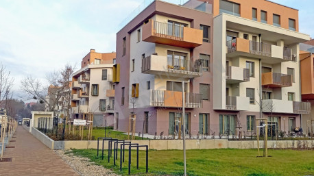 Pálinkás Antal utca Pálinkás Antal utca