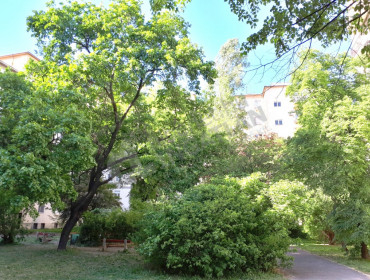 Baranyai utca-budapest-xi-kerulet-baranyai-utca_16.jpg