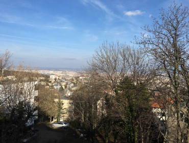 Kakukk út-budapest-xii-kerulet-kakukk-ut_9.jpg
