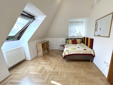 Szalamandra út-budapest-ii-kerulet-szalamandra-ut_27.jpg