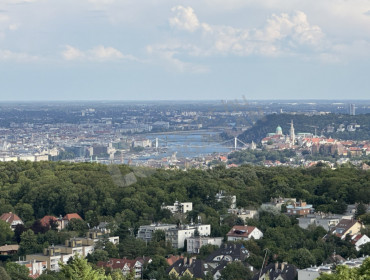 Szalamandra út-budapest-ii-kerulet-szalamandra-ut_31.jpg