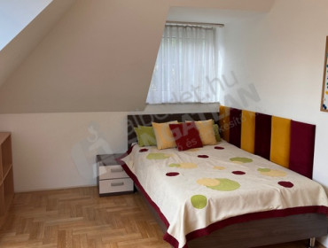 Szalamandra út-budapest-ii-kerulet-szalamandra-ut_5.jpg
