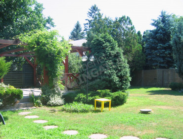 Aszu utca