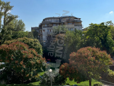Szegedi út-budapest-xiii-kerulet-szegedi-ut_7.jpg