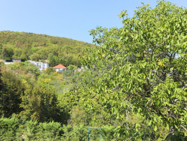 Virág Benedek utca-budapest-iii-kerulet-virag-benedek-utca_12.jpg