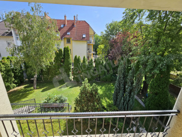 Telepes utca-budapest-xiv-kerulet-telepes-utca_16.jpg