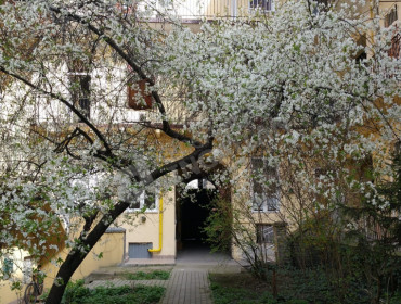 Bajza utca-budapest-vi-kerulet-bajza-utca_23.jpg