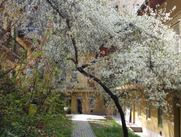 Bajza utca-budapest-vi-kerulet-bajza-utca_24.jpg