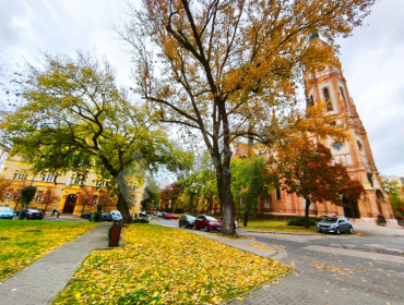 Liget utca-budapest-x-kerulet-liget-utca_21.jpg