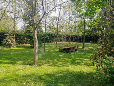 Nánási út-budapest-iii-kerulet-nanasi-ut_26.jpg