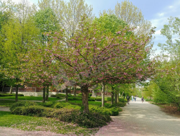 Nánási út-budapest-iii-kerulet-nanasi-ut_29.jpg