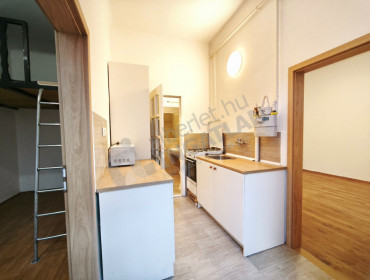 Nefelejcs utca-budapest-vii-kerulet-nefelejcs-utca_36.jpg