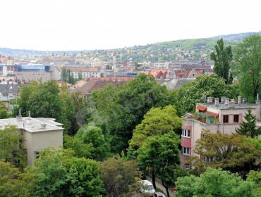 Rózsahegy utca-budapest-ii-kerulet-rozsahegy-utca_13.jpg
