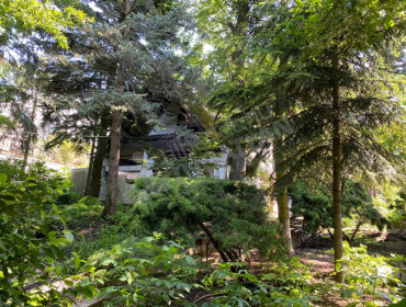 Homokóra utca-budapest-ii-kerulet-homokora-utca_7.jpg