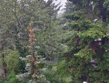 Pasaréti út-budapest-ii-kerulet-pasareti-ut_16.jpg