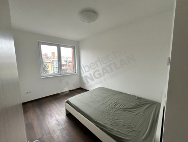 Pacsirtamező utca-budapest-iii-kerulet-pacsirtamezo-utca_13.jpg