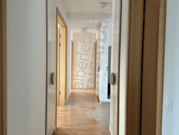 Lepke utca-budapest-ii-kerulet-lepke-utca_9.jpg
