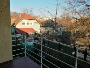 Laufenauer utca-budapest-xi-kerulet-nagyszolos-utca_10.jpg