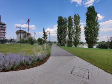 Bíró László József körút-budapest-xi-kerulet-biro-laszlo-jozsef-korut_23.jpg