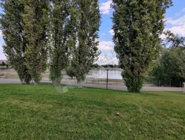 Bíró László József körút-budapest-xi-kerulet-biro-laszlo-jozsef-korut_24.jpg