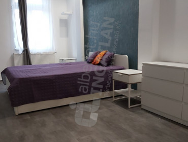 Nefelejcs utca-budapest-vii-kerulet-nefelejcs-utca_23.jpg