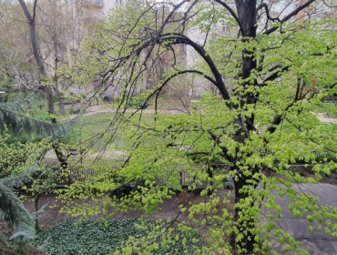 Kárpát utca-budapest-xiii-kerulet-karpat-utca_3.jpg