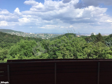 Budakeszi út-budapest-ii-kerulet-budakeszi-ut_2.jpg