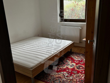 Temesvári út-budapest-xxii-kerulet-temesvari-ut_3.jpg