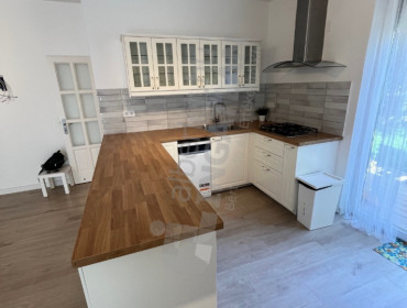 Lappantyú utca-budapest-xi-kerulet-lappantyu-utca_13.jpg