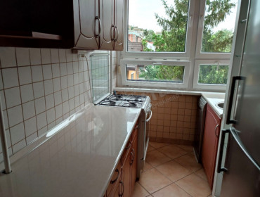 Zöldlomb utca-budapest-ii-kerulet-zoldlomb-utca_6.jpg