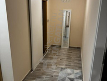 Szegedi út-budapest-xiii-kerulet-szegedi-ut_7.jpg