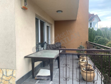Lepke utca-budapest-ii-kerulet-lepke-utca_11.jpg