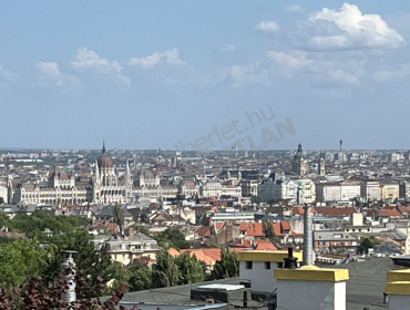 Alvinci út-budapest-ii-kerulet-alvinci-ut_10.jpg