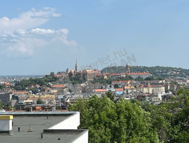Alvinci út-budapest-ii-kerulet-alvinci-ut_5.jpg