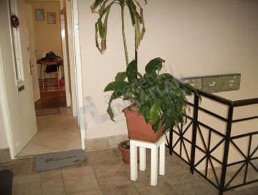 Lovas utca-budapest-i-kerulet-lovas-utca_16.jpg
