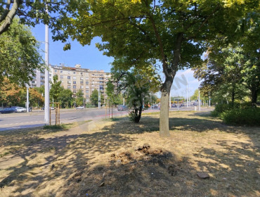 Irinyi József utca-budapest-xi-kerulet-irinyi-jozsef-utca_29.jpg