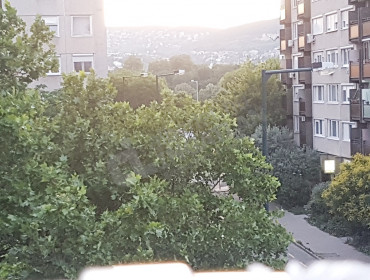 Kárpát utca-budapest-xiii-kerulet-karpat-utca_7.jpg