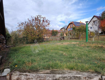 Fő utca-biatorbagy-fo-utca_16.jpg