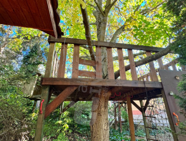 Hóvirág utca-budaors-hovirag-utca_14.jpg