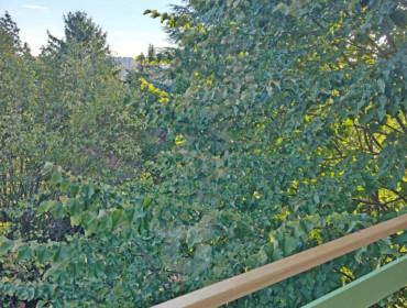 Sasadi köz-budapest-xi-kerulet-sasadi-koz_3.jpg