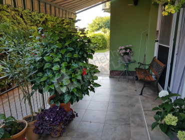 Tompa Mihály utca-maglod-tompa-mihaly-utca_15.jpg