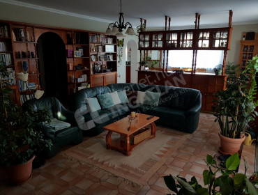 Tompa Mihály utca-maglod-tompa-mihaly-utca_5.jpg