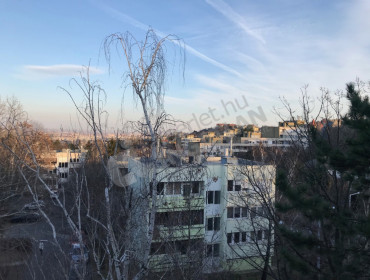 Csalit utca-budapest-ii-kerulet-csalit-utca_14.jpg