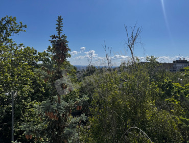 Csalit utca-budapest-ii-kerulet-csalit-utca_15.jpg