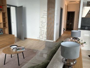 Bíró László József körút-budapest-xi-kerulet-biro-laszlo-jozsef-korut_11.jpg