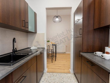 Holló utca-budapest-vii-kerulet-hollo-utca_16.jpg