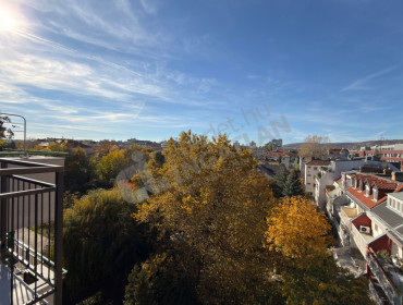 Nándorfejérvári út-budapest-xi-kerulet-nandorfejervari-ut_14.jpg